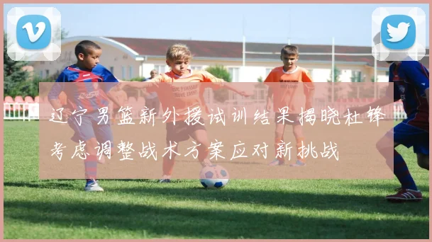 辽宁男篮新外援试训结果揭晓杜锋考虑调整战术方案应对新挑战