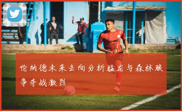 伦纳德未来去向分析猛龙与森林狼争夺战激烈