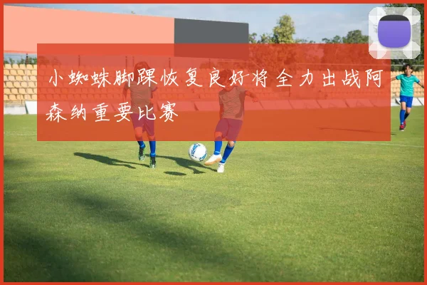 小蜘蛛脚踝恢复良好将全力出战阿森纳重要比赛